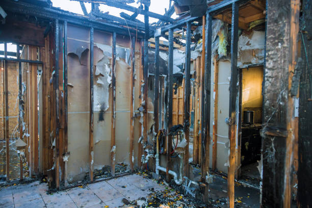 Professional Smoke Damage Removal technician working in Granite Hills, CA